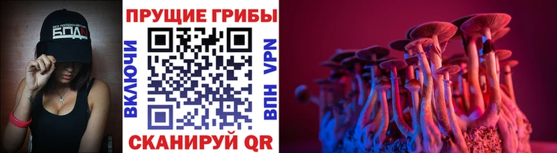 Галлюциногенные грибы Psilocybe  Нариманов 